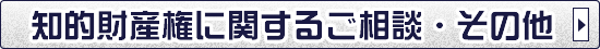 その他 知的財産権に関するご相談
